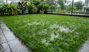 rumput sintetis geoscape